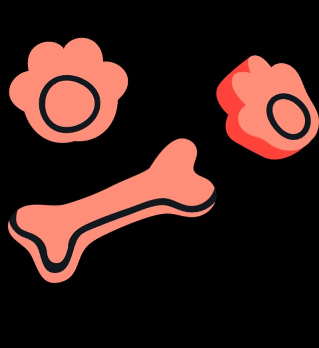 An illustration of a bone and two cells on a black background