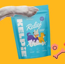 A dog's paw holding a blue bag of Kelpie Relief Allergy Chews with cartoon dogs and flowers on it