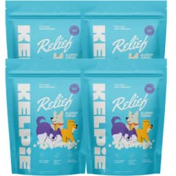 Four teal pouches of Relish Allergy Chews for dogs with cartoon illustrations of dogs