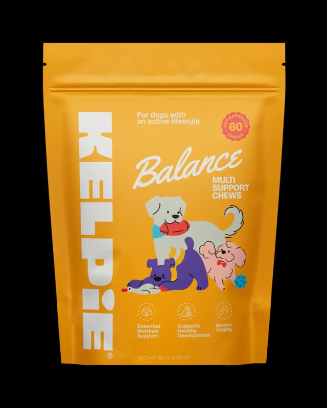 Yellow package of KELPIE BALANCE multi-support chews for dogs, featuring cartoon illustrations of a grey dog with red and blue collar, a smaller black and brown dog, and a pink dog with a red bow, holding toys. Package indicates 60 chews for active dogs with essential nutrient support.