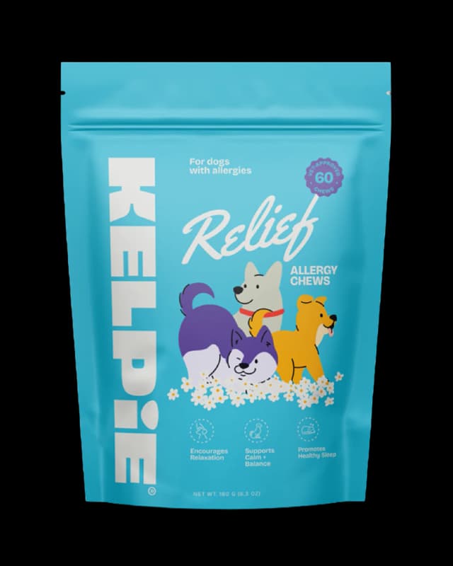 Blue package of Kelpie Relief allergy chews 60 for dogs pictured on white background, with allergy relief text, seal of approval logo, and illustration of three dogs.